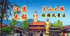 黄色视频免费网站被操江苏无锡灵山大佛旅游风景区