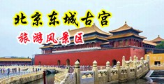 皮裤美女插逼被操av中国北京-东城古宫旅游风景区